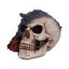 Soul Rose Ornamental Skull - Nemesis Now