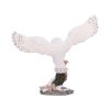 Snowfall - Majestic owl in winter scene