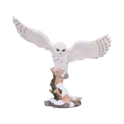 Snowfall - Majestic owl in winter scene