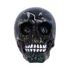 Electro (Medium) (Pack of 6)