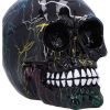Electro (Medium) (Pack of 6)