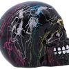 Electro (Medium) (Pack of 6)