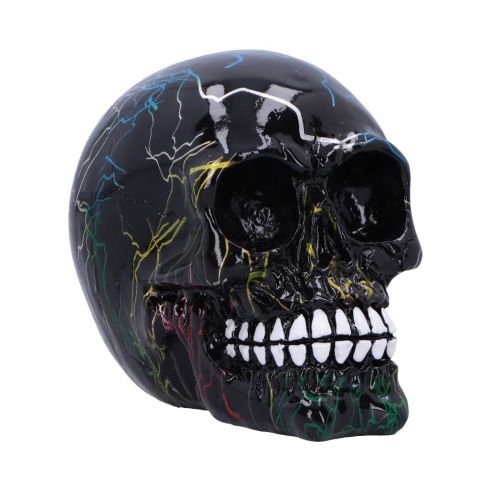 Electro (Medium) (Pack of 6)