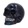 Electro (Small) (Pack of 6 )