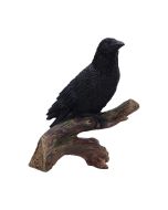 Flight of the Raven Wall Hanging Decoration