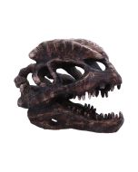 Archaeopteryx Skull Decorative Resin Replica