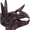 Triceratops Skull Resin Replica