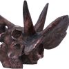 Triceratops Skull Resin Replica