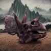 Triceratops Skull Resin Replica