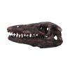 Archaeopteryx Skull Decorative Resin Replica