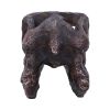 Archaeopteryx Skull Decorative Resin Replica