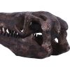 Archaeopteryx Skull Decorative Resin Replica