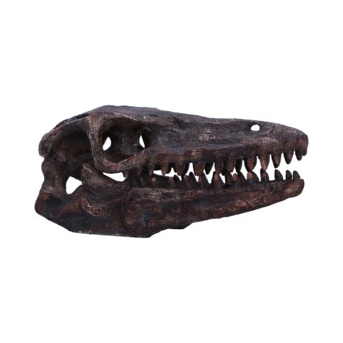 Archaeopteryx Skull Decorative Resin Replica