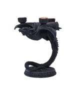 Wyvern Clutch Dragon Trinket Holder