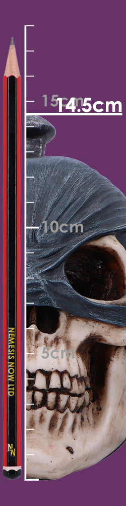 Penance of Iron Gothic Skull Figurine