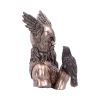 Bronze Odins Messengers Norse God Bust