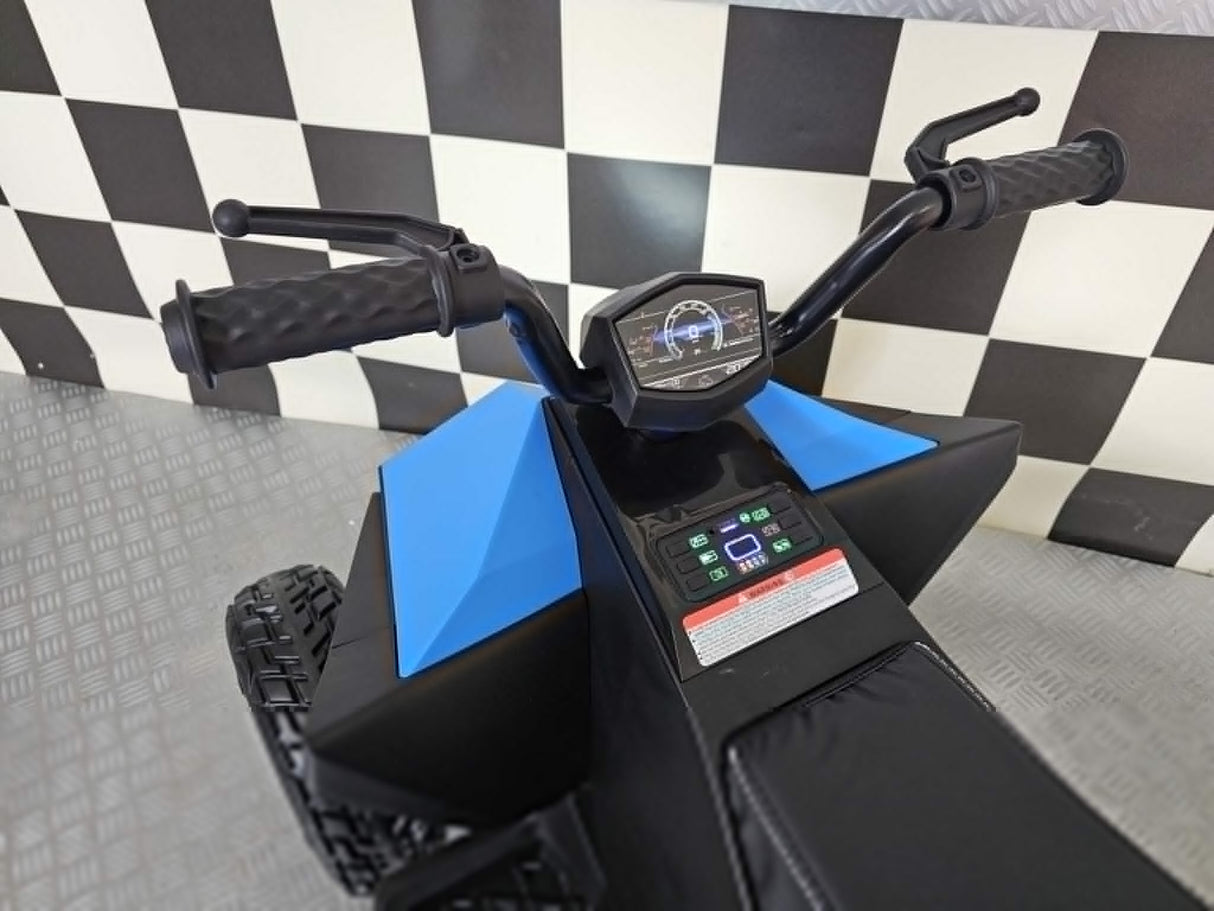 Future 12V barnquad