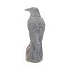 Ravens Rest Figurine Gothic Bird Ornament