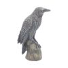 Ravens Rest Figurine Gothic Bird Ornament