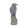 Ravens Rest Figurine Gothic Bird Ornament