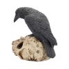 Raven Remains Figurine Crow Skull Gothic Ornament