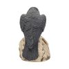 Raven Remains Figurine Crow Skull Gothic Ornament