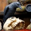 Raven Remains Figurine Crow Skull Gothic Ornament