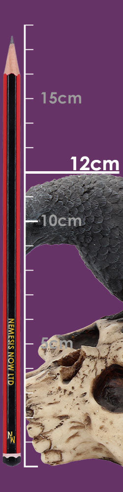 Raven Remains Figurine Crow Skull Gothic Ornament