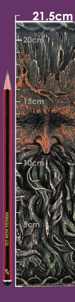 Tree Beard Notebook Green Man Tree Spirit Journal