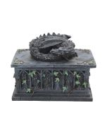 Nemesis Now Obsidian Dragon Figurine 25cm