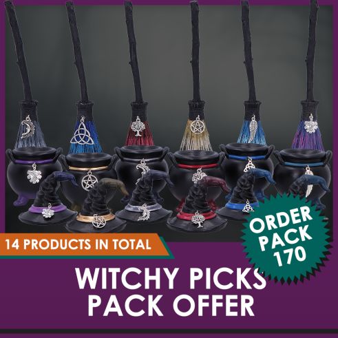 Set of Six Positivity Broomsticks with Silver Charms