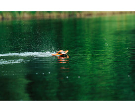 Sea Ray 2.4 GHz 100% RTR