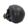 Black Rose from the Dead Skull 15cm