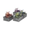 Dragons Safehold Box Set of 4 Trinket Boxes