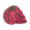 Sugar Blossom Pink Skull 14.5cm