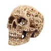Celtic Decadence Skull 18.5cm