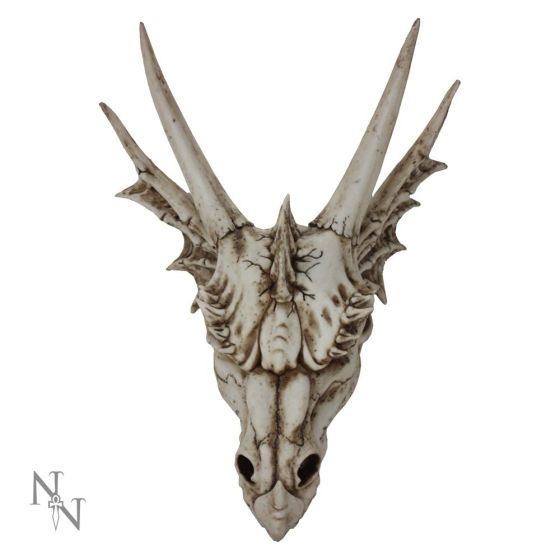 The Last Dragon Skull Realistic Reptile Skeleton Head