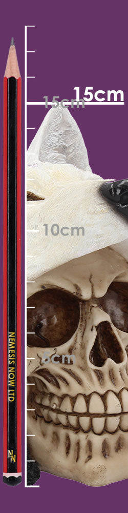 Night Wolf Skull 15.6cm