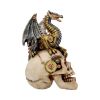 Dragon's Grasp Steampunk Skull and Dragon 18.5cm