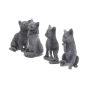 Adorable Lucky Black Cats 9cm Figures (Display of 24)