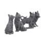 Adorable Lucky Black Cats 9cm Figures (Display of 24)