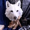 Wild Winter White Wolf Bust 27.5cm
