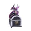 Reptilian Riches Dragon Sitting on a Treasure Chest Storage Box