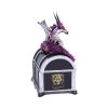 Reptilian Riches Dragon Sitting on a Treasure Chest Storage Box