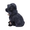 Reapers Canine Cloaked Grim Reaper Dog Figurine