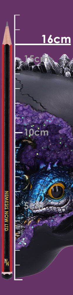 Crystal Cave Small Dragon Hiding within a Crystal Skull
