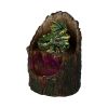 Arboreal Hatchling Green Dragon in Tree Trunk Light Up Figurine