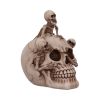 Breaking Free Skeleton Emerging from Skull Ornament 17.7cm