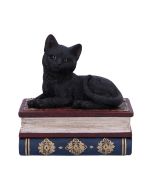 Hex and Flex Humorous Gothic Black Cat Figurine