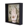 Palmistry Companion Framed Chiromancy Wall Mounted Art